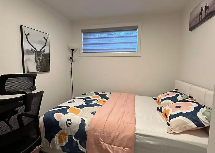 Brand New 1 Bedroom Basement Suite. Wi-Fi,Netflix